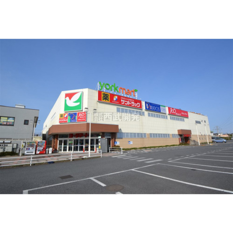 周辺 ヨークマート入間店(約600m)