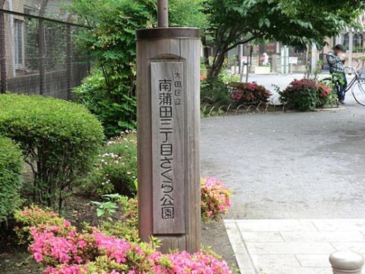 周辺 南蒲田三丁目さくら公園	115m