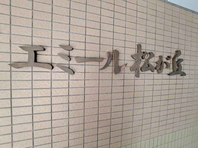 その他 スタイリッシュなエンブレム。お洒落なマンションは入り口から。