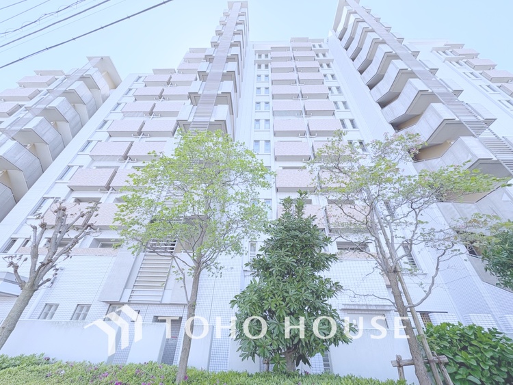 外観 【APPEARANCE】◆眩い◆光が燦々と入り、家族の笑顔を照らす。「いつまでも続いて」と願う夢のような毎日がここにある。