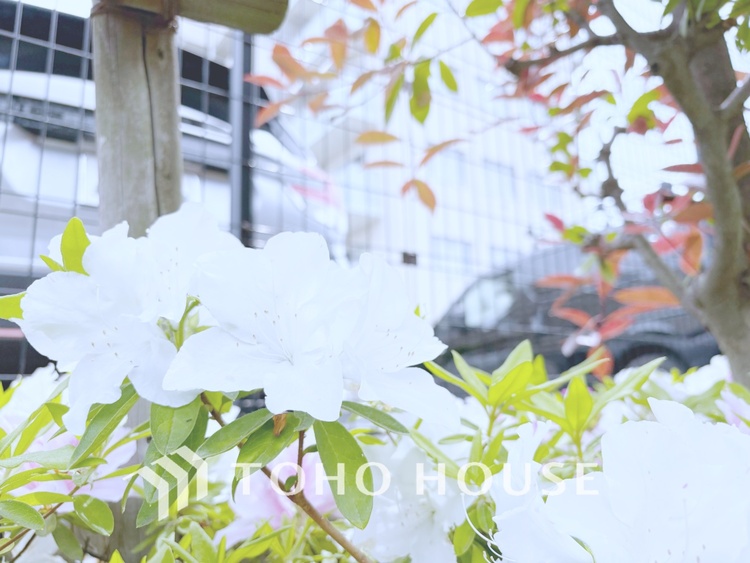 外観 【APPEARANCE】◆弾む思い◆我が家に帰る楽しみに、心掻き立てられる。心弾む。