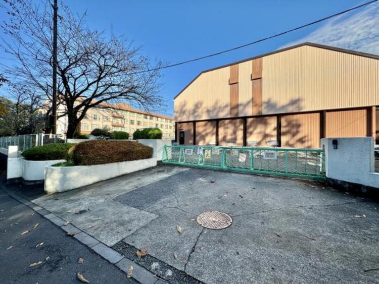 周辺 八王子市立柏木小学校迄490ｍ