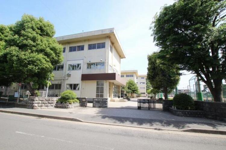 周辺 上鶴間中学校まで約775ｍ