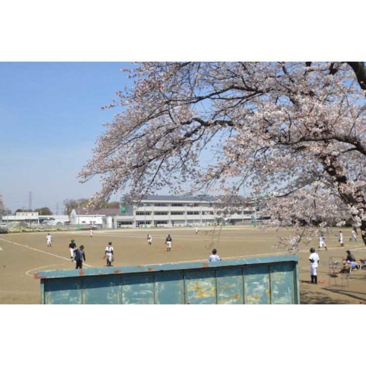 周辺 入間市立武蔵中学校(約790m)