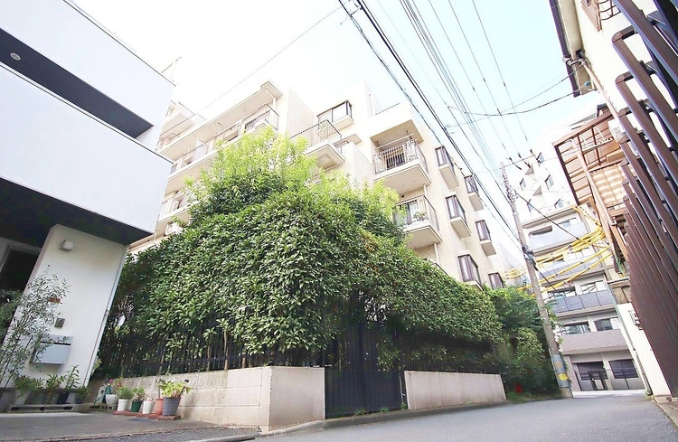 外観 現地に足をお運びいただいた際には、周辺散策などをお勧めいたします。