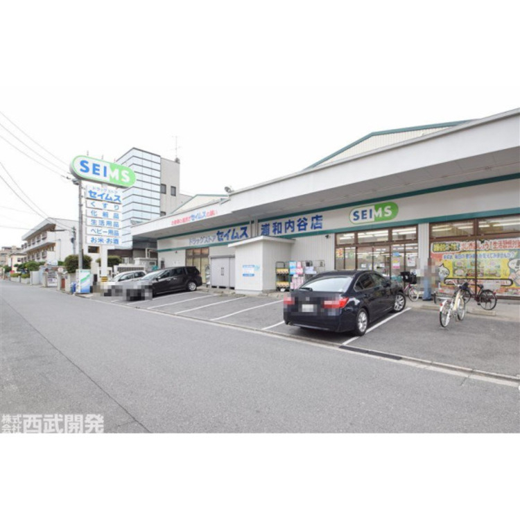 周辺 セイムス(約600m)