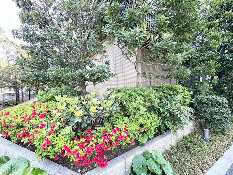 その他 マンションの敷地内には、中庭もございます。