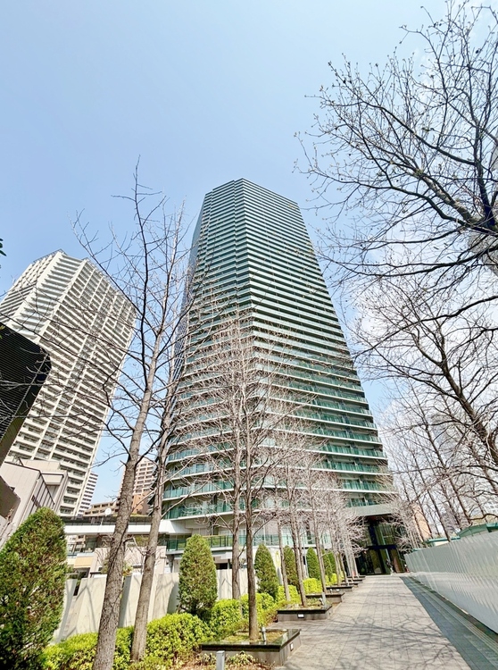 その他 飽きのこないシンプルモダンな外観です。