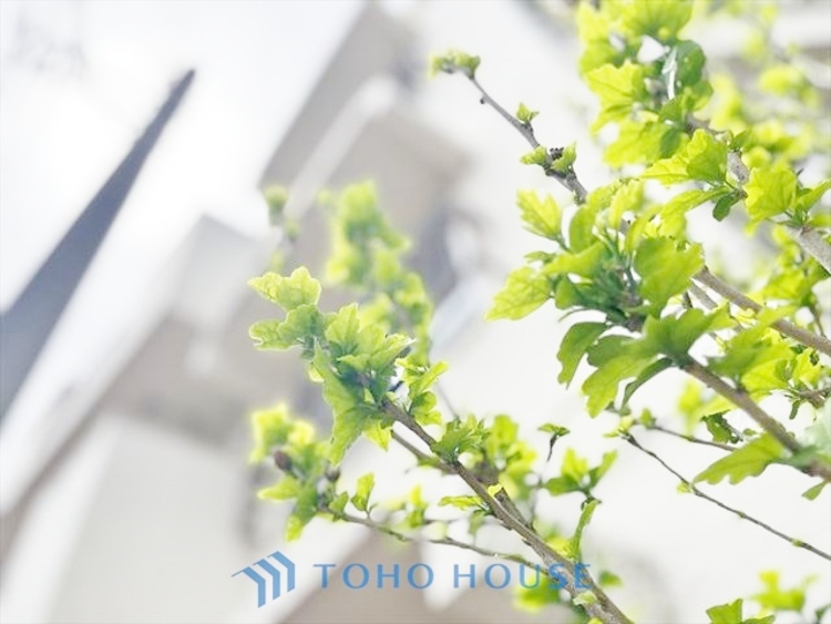 外観 ◆水面に映る◆紅葉を纏った山々を眺め、美しさのあまり感嘆のため息を漏らした事は無いだろうか。いつしか忘れかけていた自然の美しさと力強さを思い出させてくれる、そんな景色がここにもある。