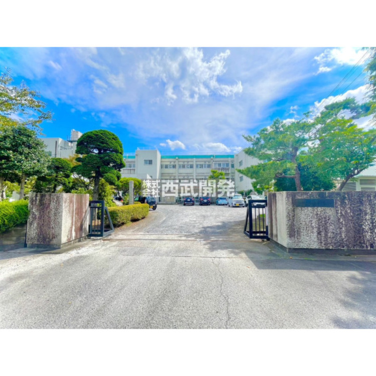 周辺 金子小学校(約1300m)