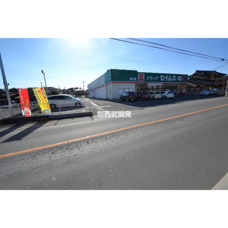 周辺 ドラッグセイムス金子店(約970m)