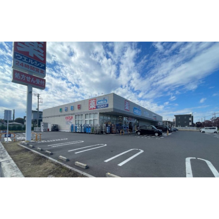 周辺 ウェルシア(約650m)