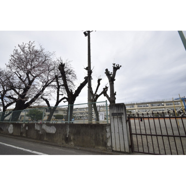 周辺 第四小学校(約620m)