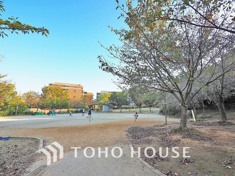 周辺 宮前美しの森公園　距離350ｍ