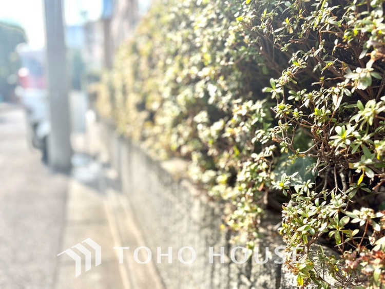 外観 【APPEARANCE】◆眩い◆光が燦々と入り、家族の笑顔を照らす。「いつまでも続いて」と願う夢のような毎日がここにある。