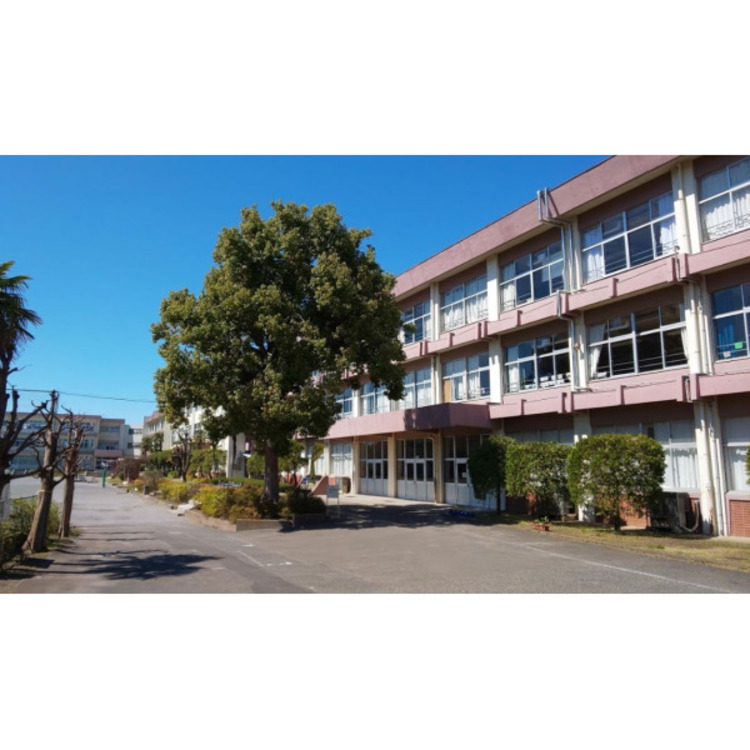 周辺 第八小学校(約580m)