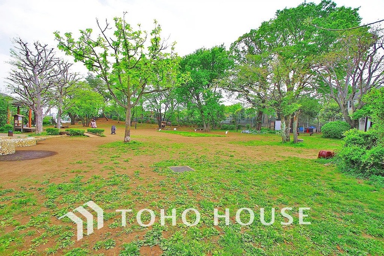 周辺 世田谷区立ねこじゃらし公園　距離600ｍ