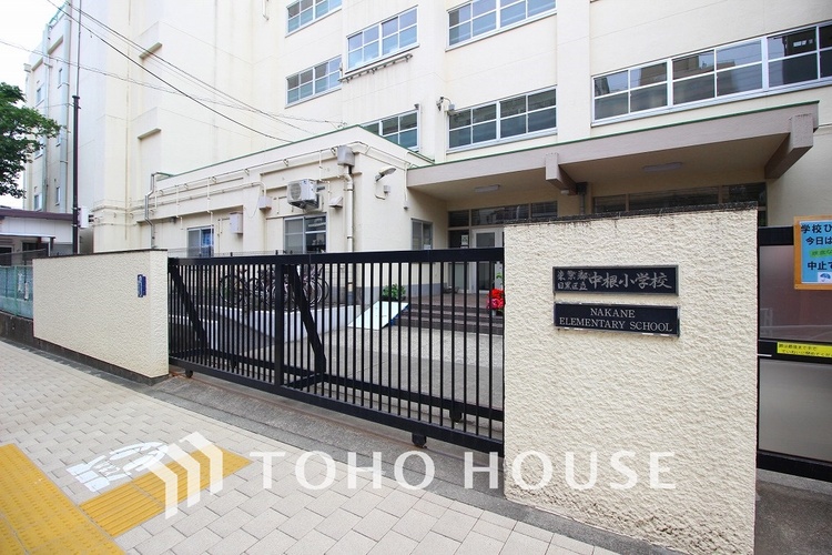 周辺 目黒区立中根小学校　距離300m