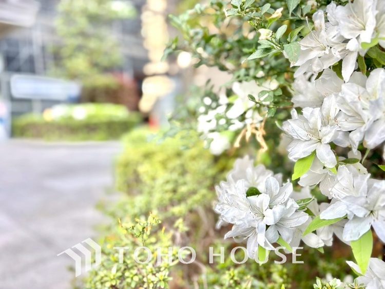 外観 【APPEARANCE】◆弾む思い◆我が家に帰る楽しみに、心掻き立てられる。心弾む。