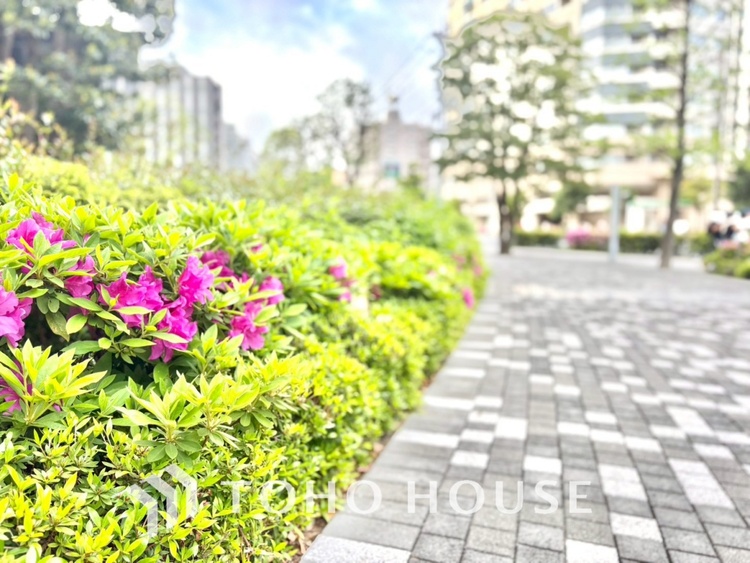 その他 【BALCONY】◆BLUE SKY◆自然の心地よさに包まれる。大開口の外に広がるのは爽やかな青空。