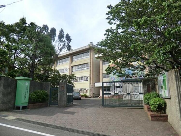 周辺 川崎市立有馬中学校まで約790ｍ