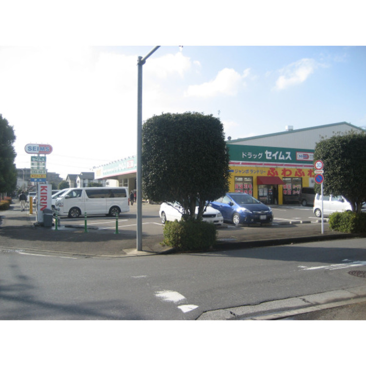 周辺 ドラッグセイムス(約310m)