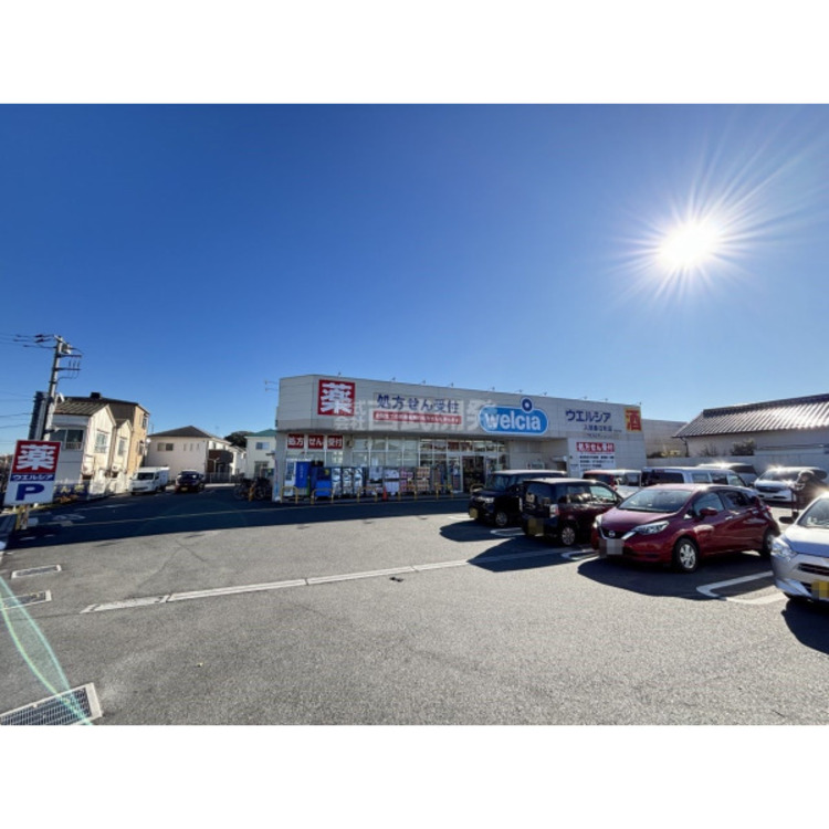 周辺 ウエルシア入間春日町店(約1000m)