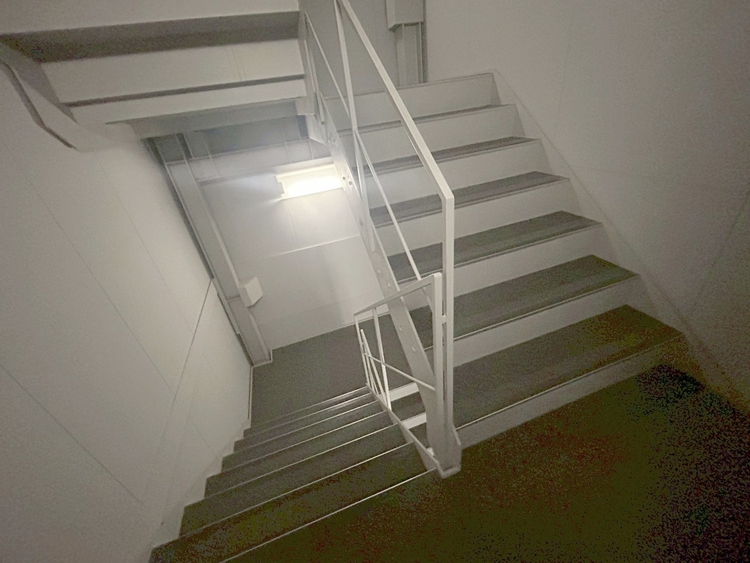 その他 共用部の階段です。明るく清潔に管理されています。