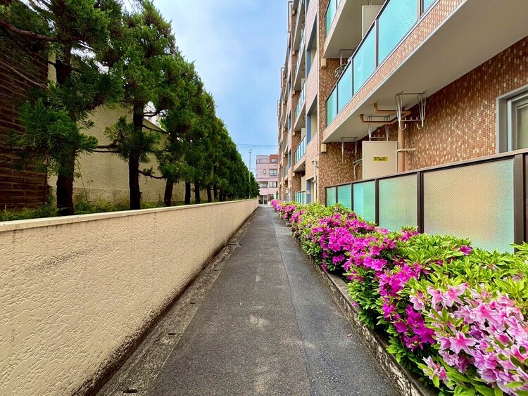 外観 ◆トイレ◆トイレも全て新品に交換されており、清々しく新生活を始めることができます。白基調の清潔感のある空間に生まれ変わりました。