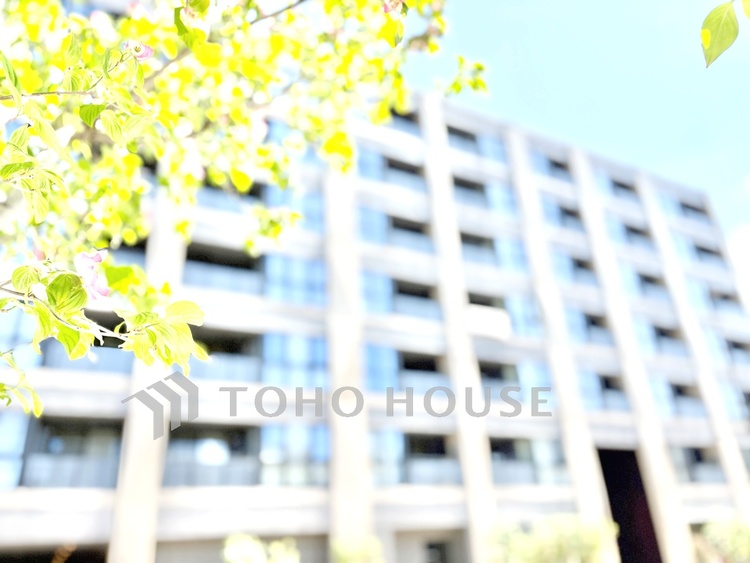 外観 【現地写真】