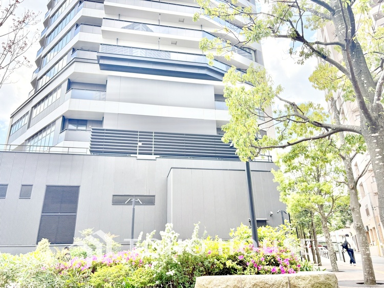 外観 【現地写真】