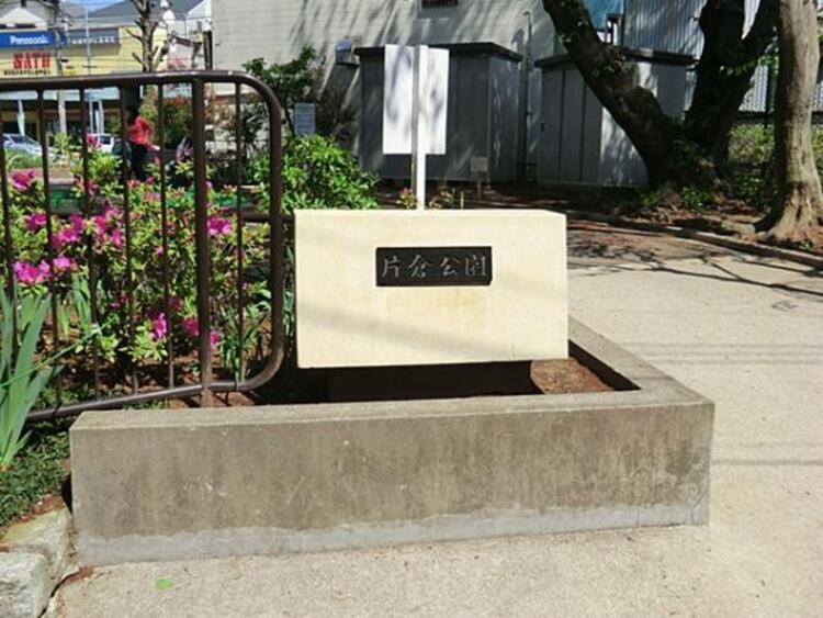 周辺 片倉公園　550ｍ　