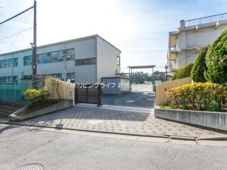 周辺 横浜市立岡津中学校　800ｍ