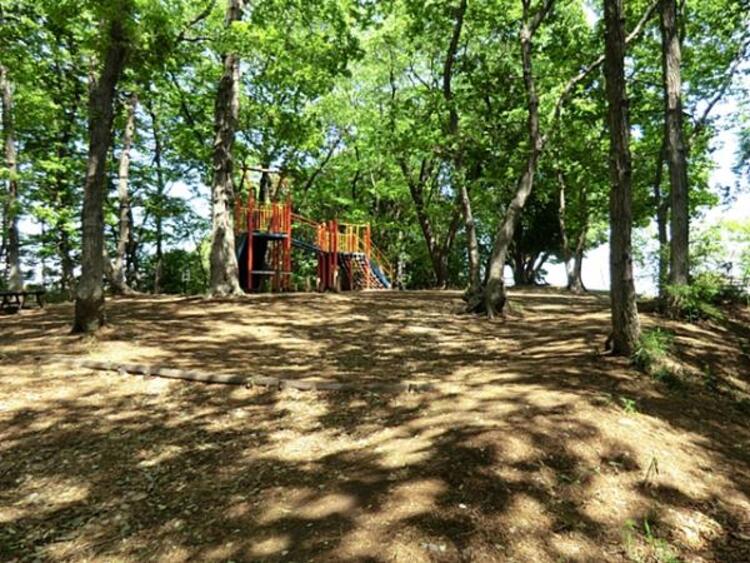 周辺 新橋天神の森公園　1300ｍ