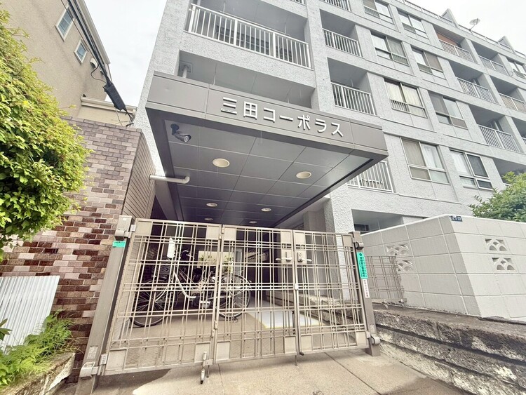 その他 上質感漂う玄関アプローチです。