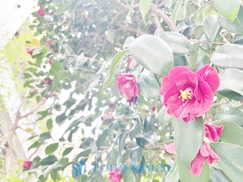 シティライブ武蔵小金井の物件画像