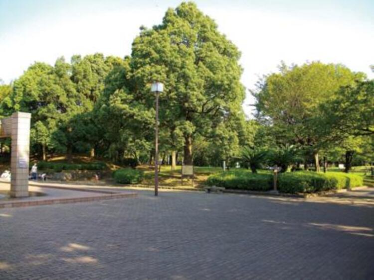 周辺 平和の森公園　450ｍ