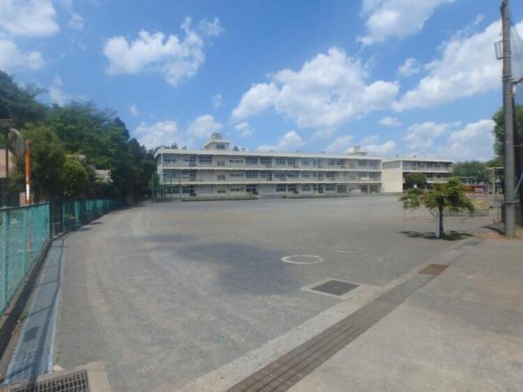 周辺 大野台小学校まで約694ｍ