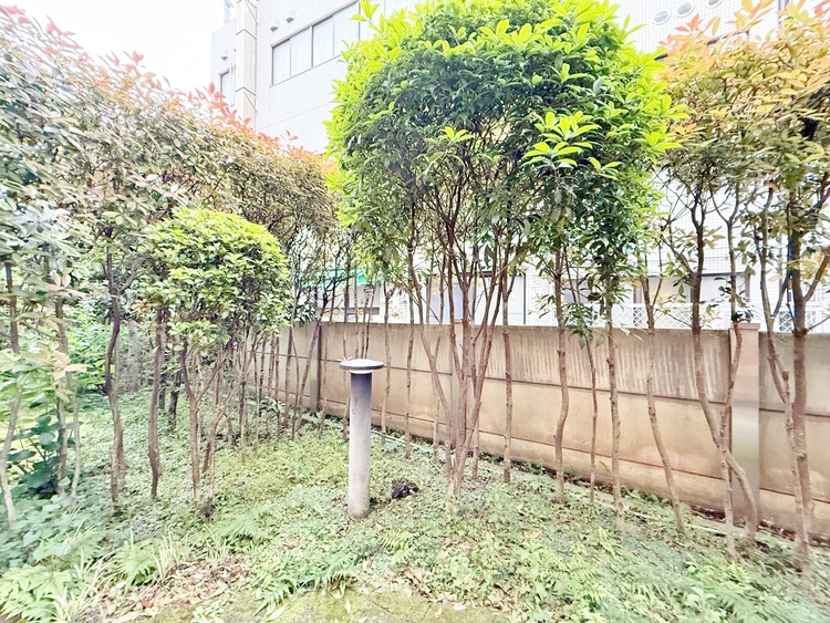 バルコニー 頬をなでる、優しい風を感じることが出来ます。