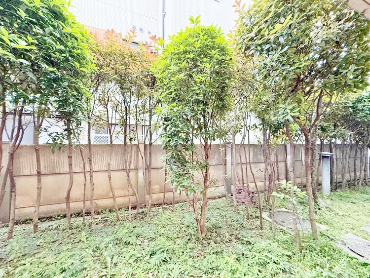 エントランス 窓を開けると広がる青空。心をリフレッシュして日々を過ごしていきましょう。