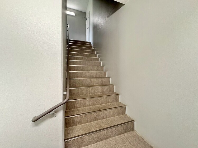 その他 共用部の階段です。明るく清潔に管理されています。