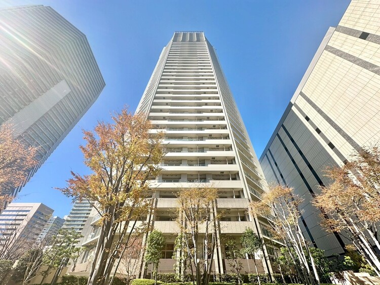 その他 飽きのこないシンプルモダンな外観です。