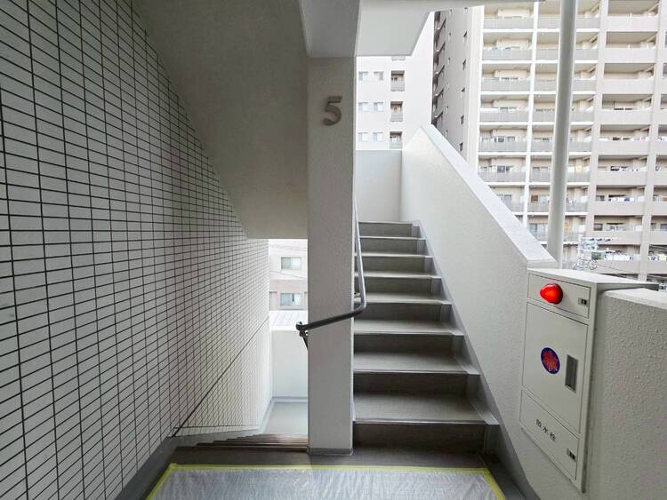その他 共用部の階段です。明るく清潔に管理されています。