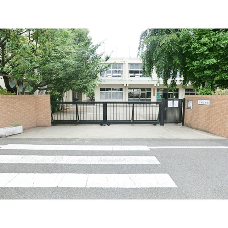 周辺 練馬区立立野小学校(約430m)