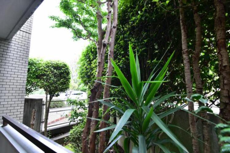 その他 この街ならではの美しい風景と、ここから紡がれる物語が始まります。 