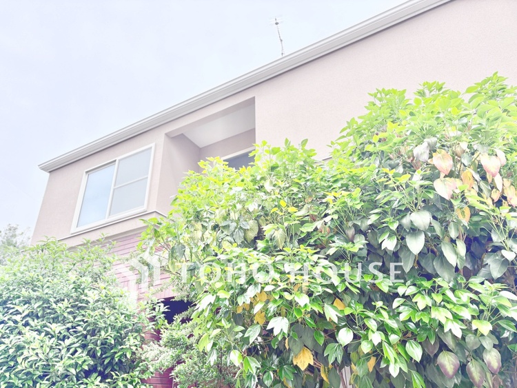 外観 【現地写真】