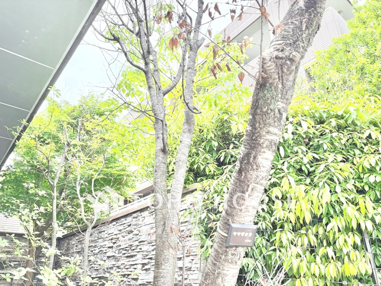 外観 【現地写真】