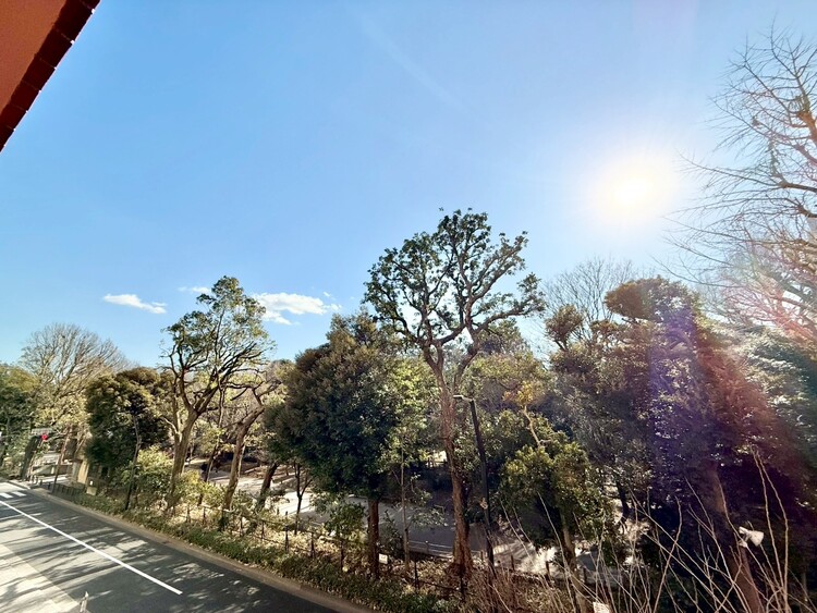 その他 陽当たり・通風・開放感に恵まれた環境です。