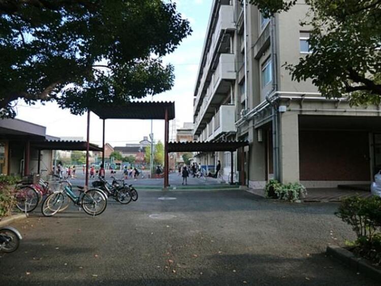 周辺 横浜市立大豆戸小学校　290ｍ