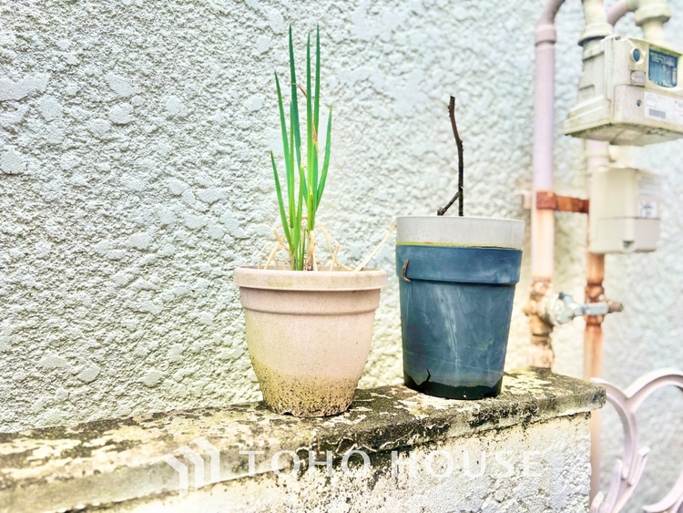 外観 【光のベール】自然光のありがたさ。柔らかい光に包まれて、ゆったりと読書などはいかがでしょうか？街のざわめき、夜の静寂。至福の時